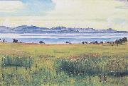 Ferdinand Hodler Lake Geneva from St Prex (nn02) oil painting reproduction